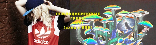 бутират Нягань